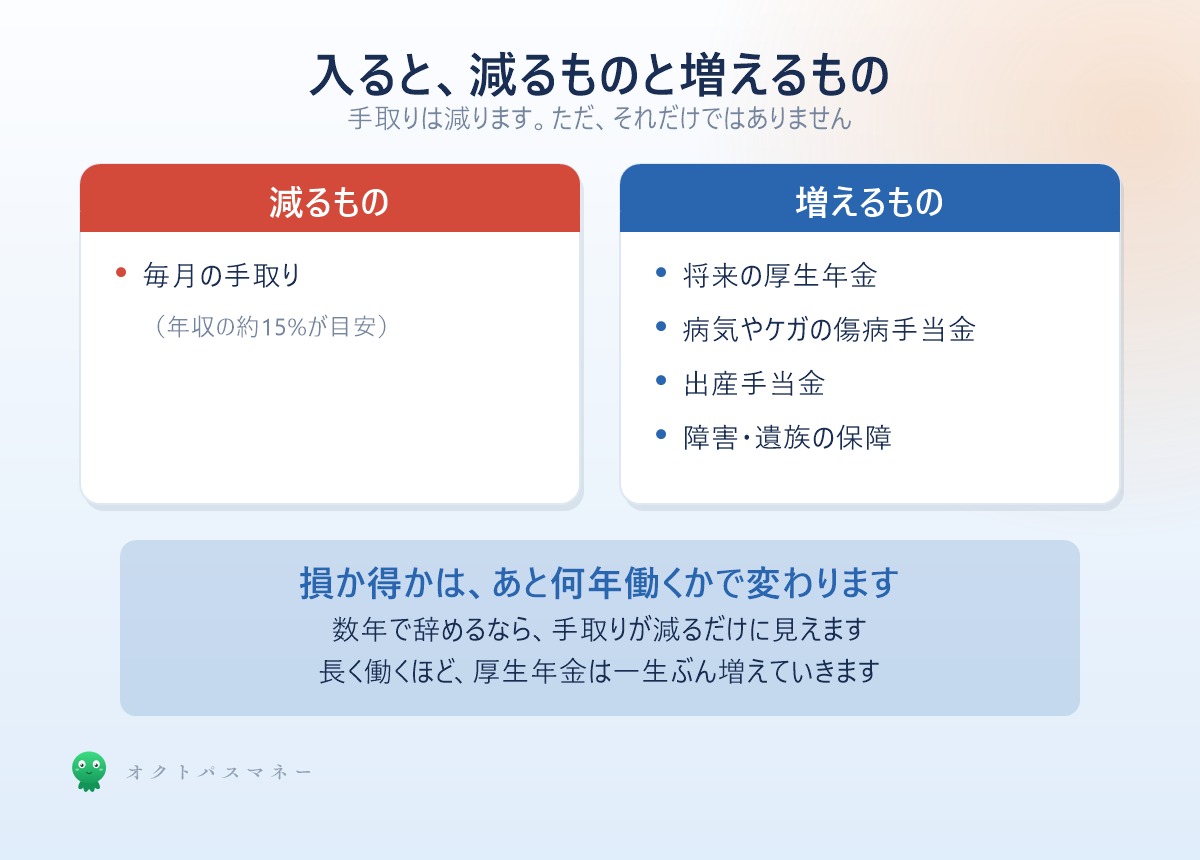 社会保険に加入すると減るものと増えるもの 手取りは減るが厚生年金や傷病手当金が増える